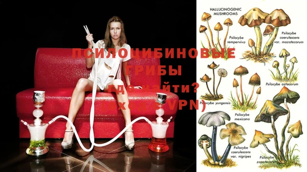 индика Алексеевка