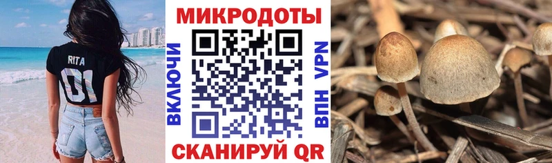 Галлюциногенные грибы прущие грибы  что такое   Нерехта 